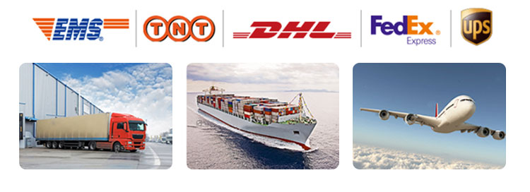 Qc11k-6x2500 Metal Guillotine Shear Guillotine Shearing Machine Qc11k-6x2500 Machine de cisaillement de guillotine de cisaillement de guillotine en métal